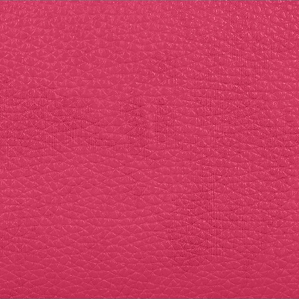 RASPBERRY
