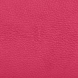 RASPBERRY
