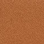 PECAN
